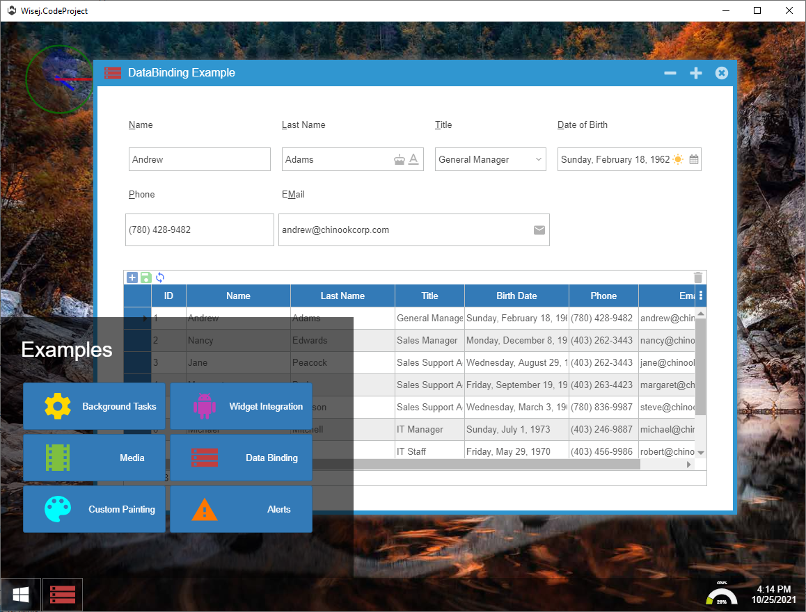 CodeProject demo running as a desktop application
